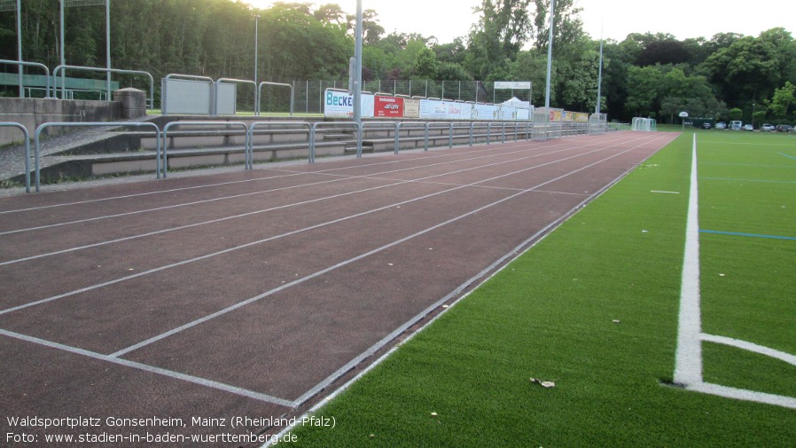 Waldsportplatz Gonsenheim, Mainz