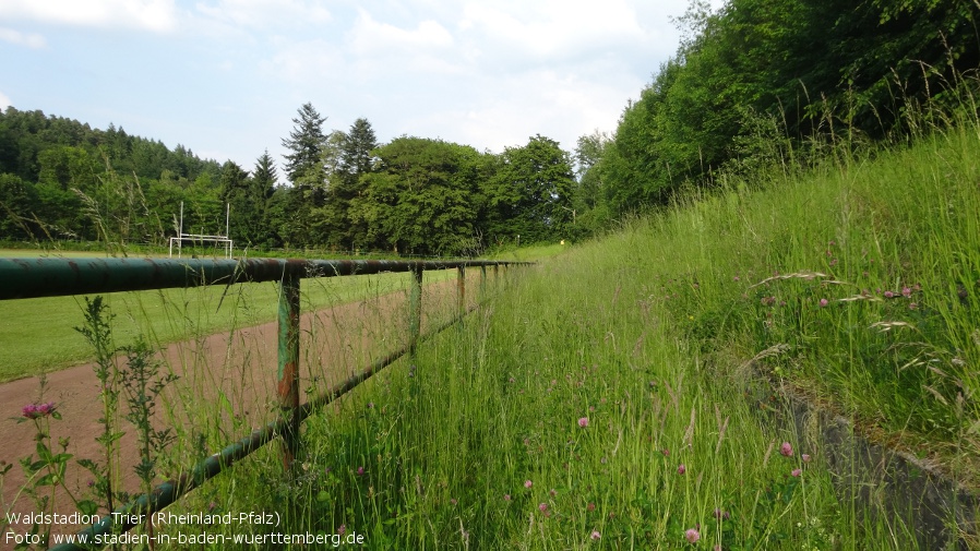 Waldstadion, Trier (Rheinland-Pfalz)