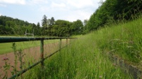 Waldstadion, Trier (Rheinland-Pfalz)