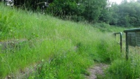 Waldstadion, Trier (Rheinland-Pfalz)