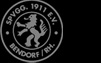Spvgg. 1911 Bendorf