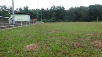 TV-Sportplatz, Westheim (Rheinland-Pfalz)