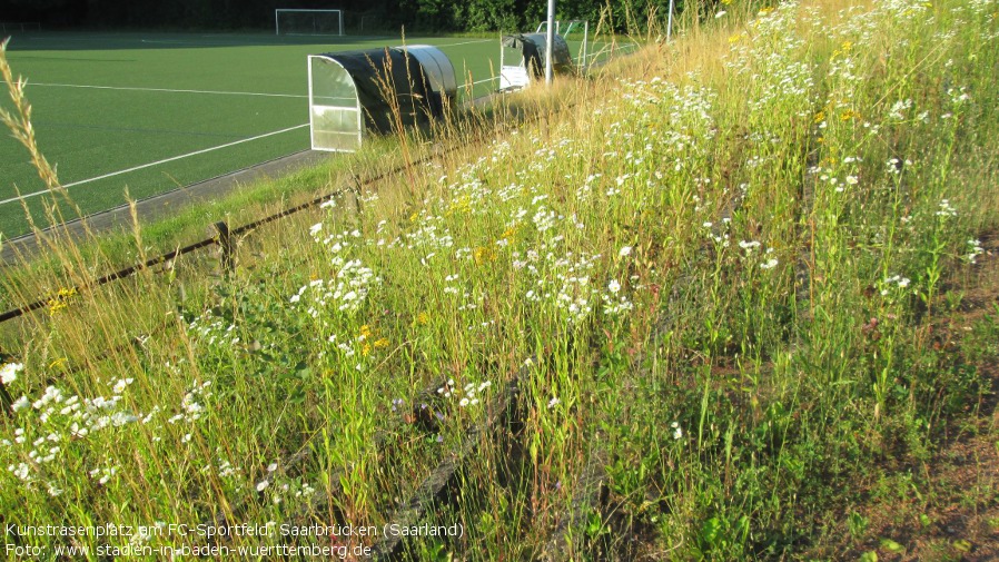 Kunstrasenplatz am FC-Sportfeld, Saarbrücken (Saarland)