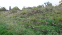 Stadion an der Waldstraße, Böhlen (Sachsen)