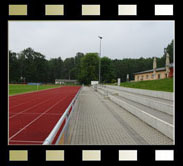 Limbach-Oberfrohna, Waldstadion