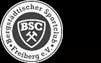 Bergstädtischer SC Freiberg