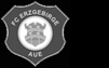 FC Erzgebirge Aue