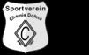 SV Chemie Dohna