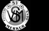 SV Merkur 06 Oelsnitz