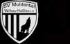 SV Muldental Wilkau-Haßlau