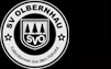 SV Olbernhau