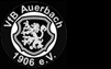 VfB Auerbach 1906