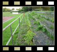 Lok-Sportplatz, Merseburg