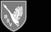 Barsbütteler SV von 1948