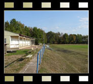 Tonna, Stadion Fasanerie