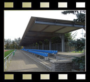 Zeulenroda-Triebes, Waldstadion