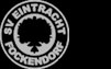 SV Eintracht Fockendorf