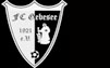 FC Gebesee 1921