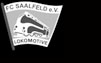 FC Lokomotive Saalfeld