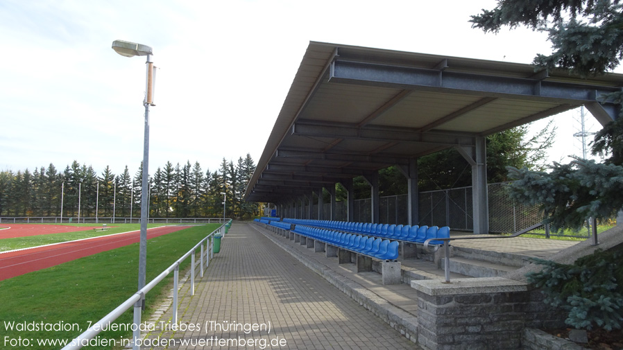 Zeulenroda-Triebes, Waldstadion