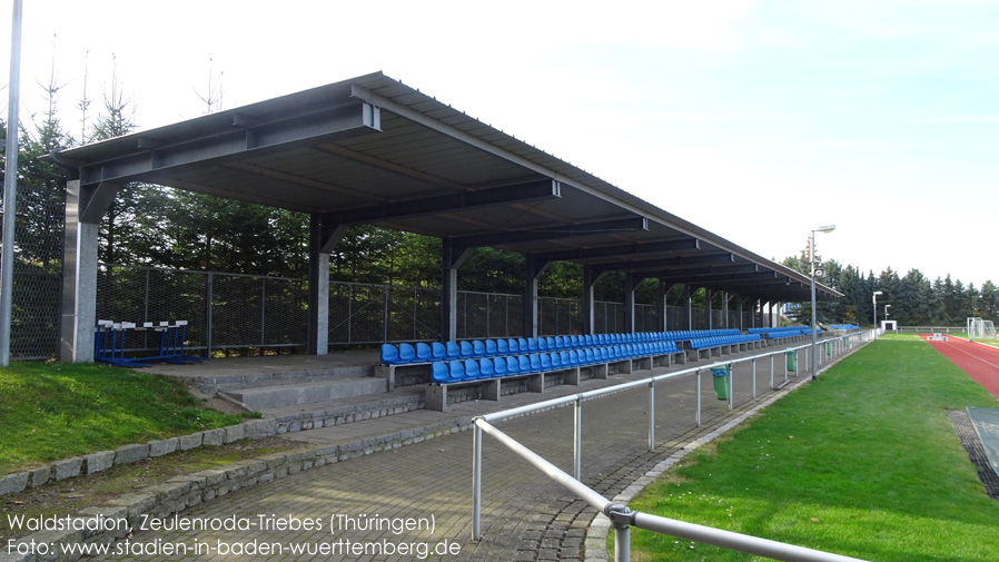 Zeulenroda-Triebes, Waldstadion