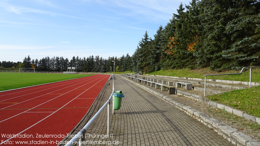 Zeulenroda-Triebes, Waldstadion