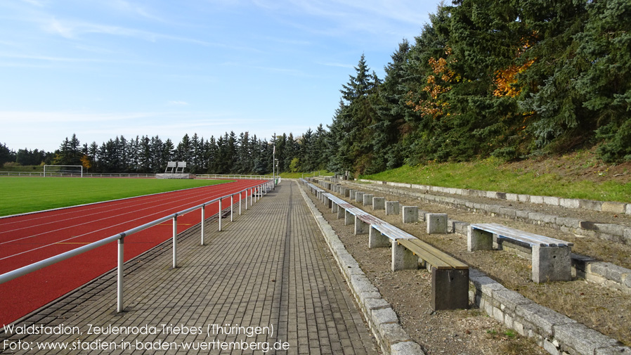 Zeulenroda-Triebes, Waldstadion