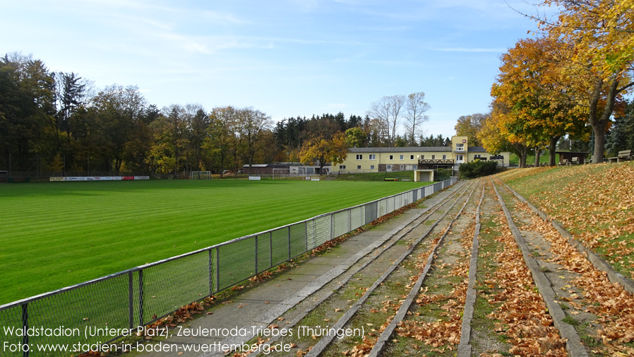 Zeulenroda-Triebes, Waldstadion (unterer Platz)